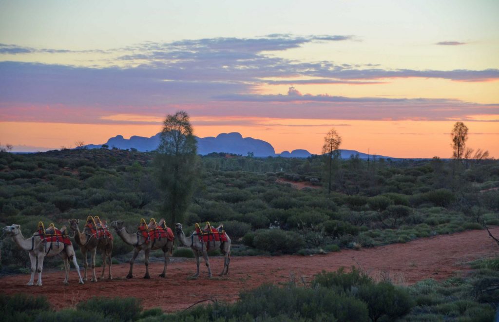 Voyage en Australie - Kata Tjuta