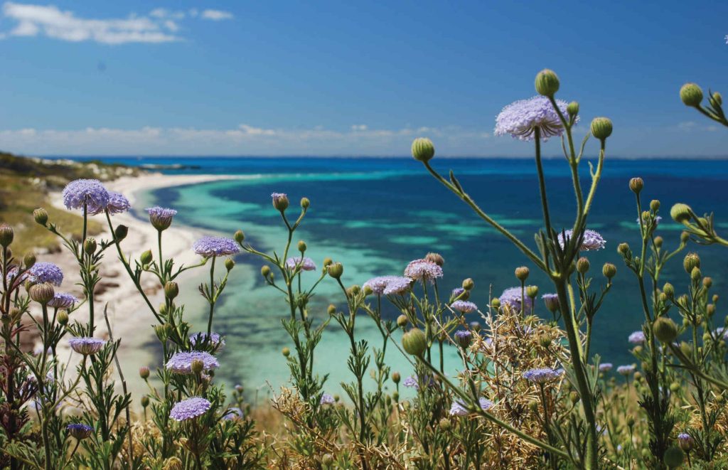 Voyage en Australie - Rottnest Island