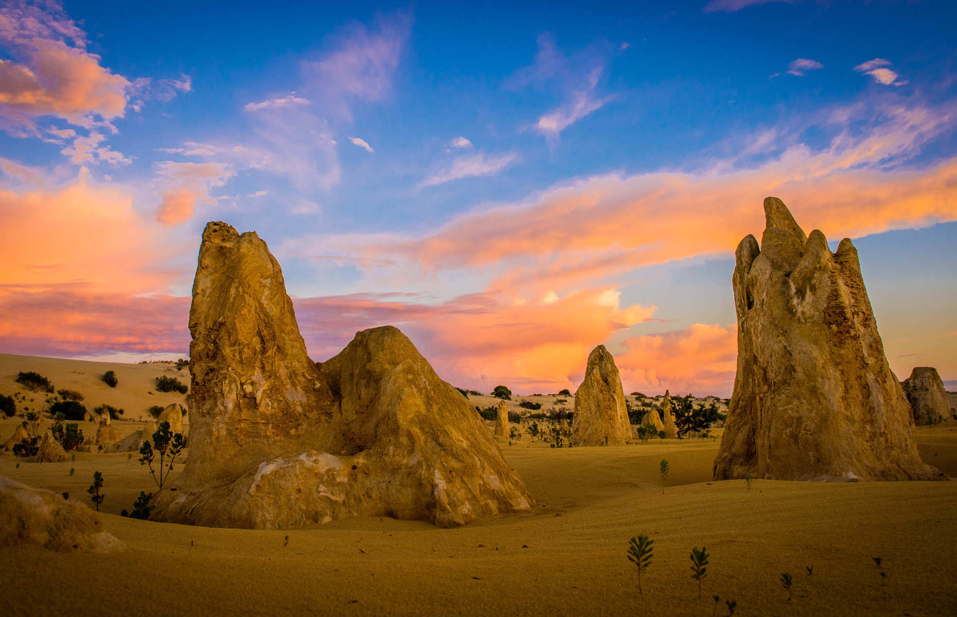 Les Pinnacles -Parc National - -Merveilles du Grand Ouest australien - Circuit 4x4 australie - Australie Tours