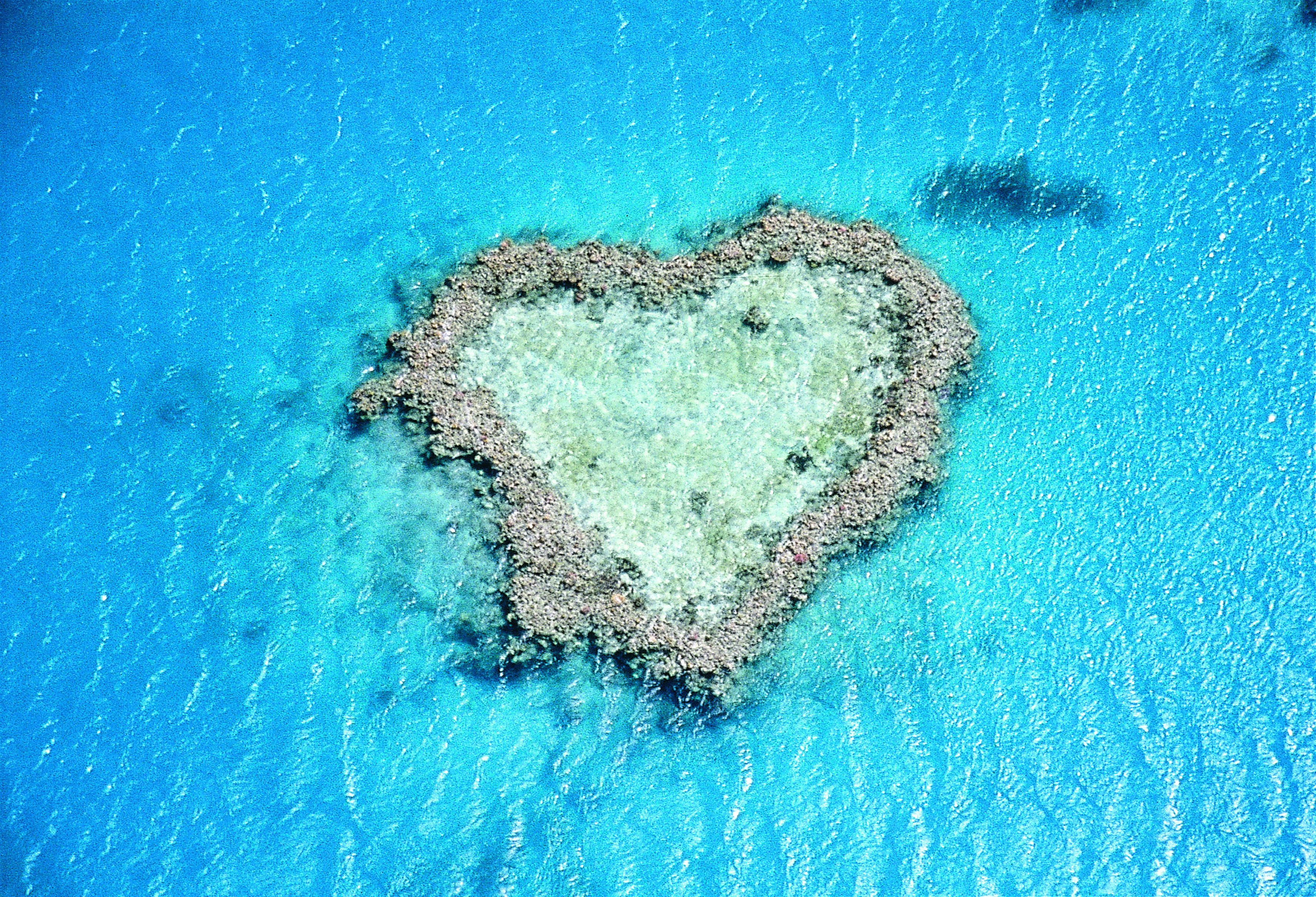 Grande barrière de corail voyage croisière australie