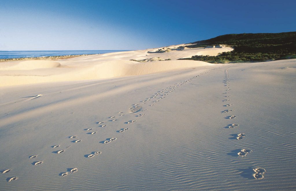 Voyage en Australie - Fraser Island