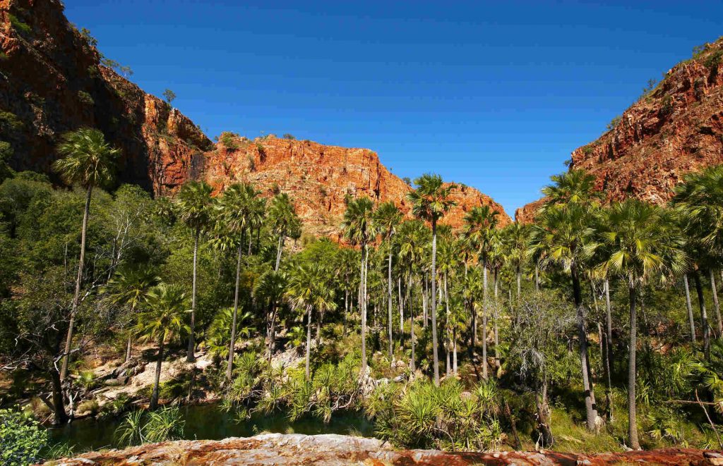 Voyage en Australie - Paysage des Bungle Bungle