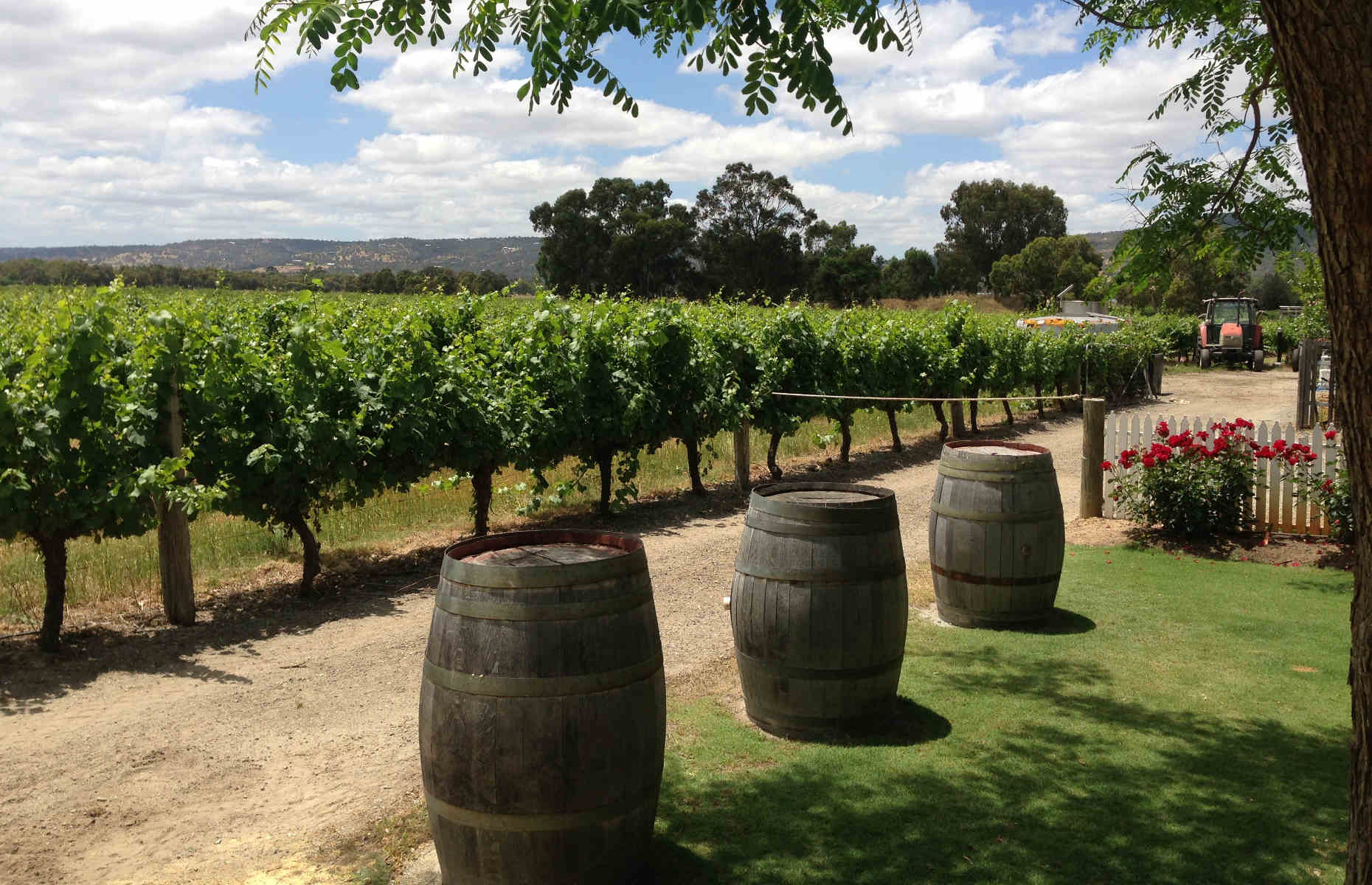 Voyage en Australie - Vignoble, Margaret River australie voyage