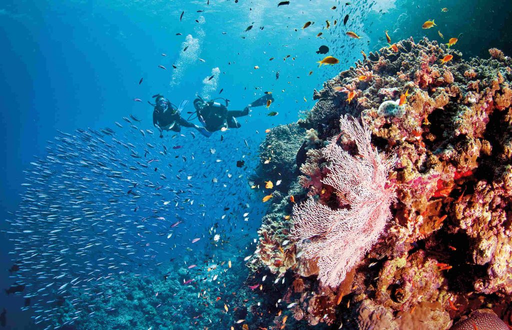 La Grande Barrière de Corail voyage australie