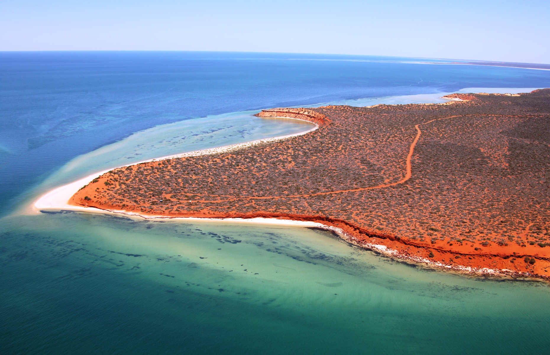 Few places on the planet rival australia. Залив Шарк, Западная Австралия. Акулья бухта в Австралии. Залив Шарк (Акулья бухта). Залив Шарк ЮНЕСКО.