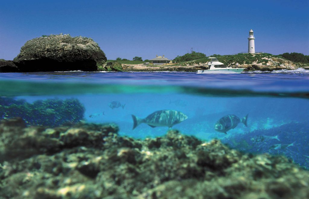 Voyage en Australie - Nature à Rottnest Island