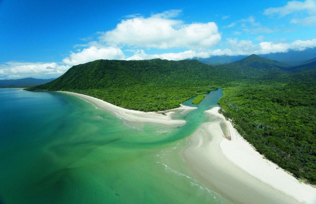 Voyage en Australie - Forêt tropicale