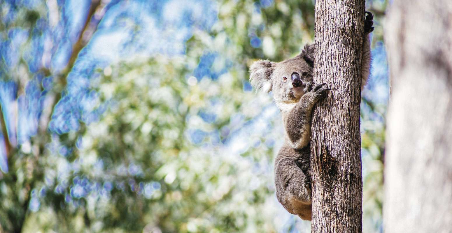 voyage en australie du sud Adélaïde