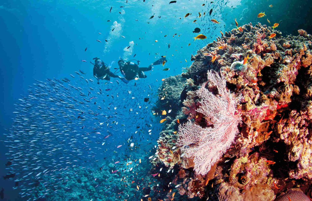 grande barrière de corail australie voyage vacances