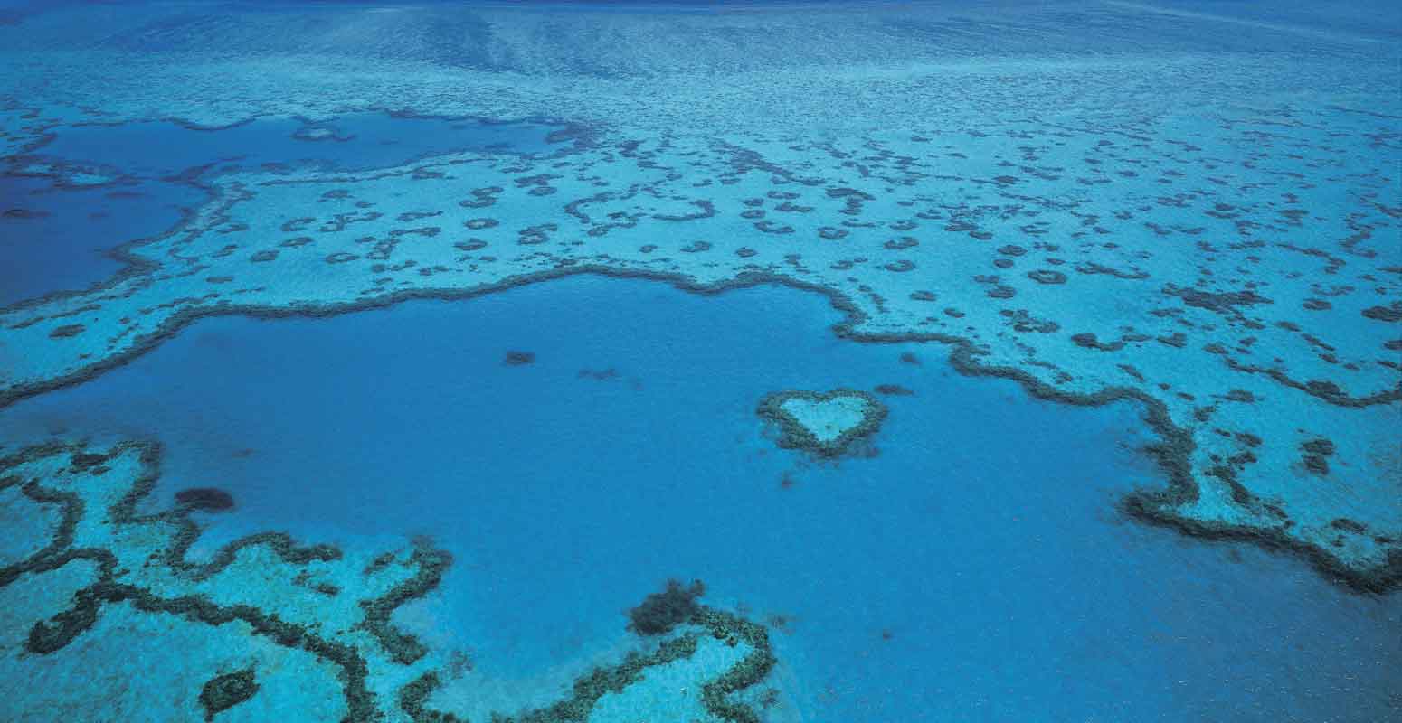 heart reef grande barrière de corail australie