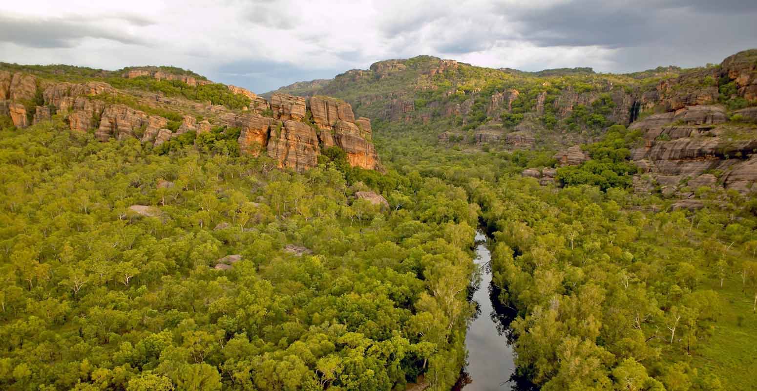 forêt et mangroves du kakadu national park