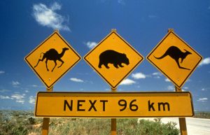 roadsign animaux routes australiennes