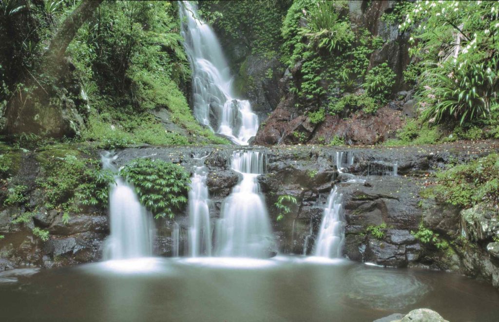 Roadtrip Queensland - Lamington National Park