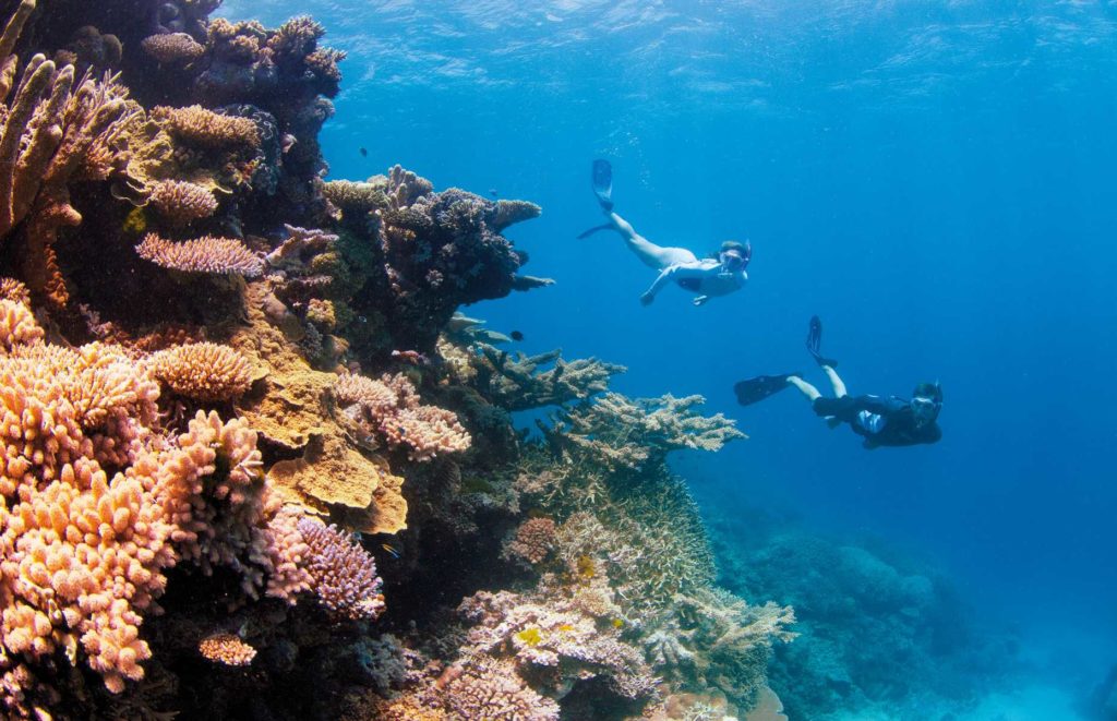 Autotour Australie - Grande Barrière de corail