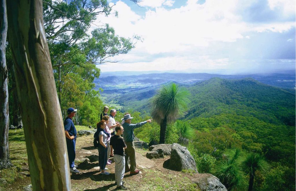 Roadtrip Queensland - Lamington National Park