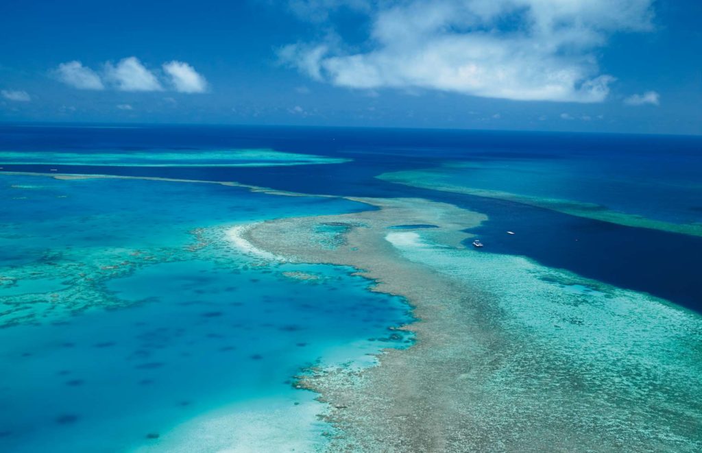 Voyage de noces Australie - Grande Barrière de Corail