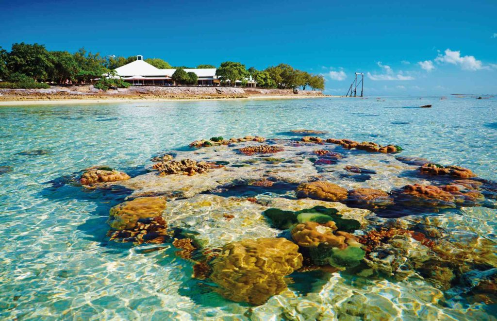 heron island tours