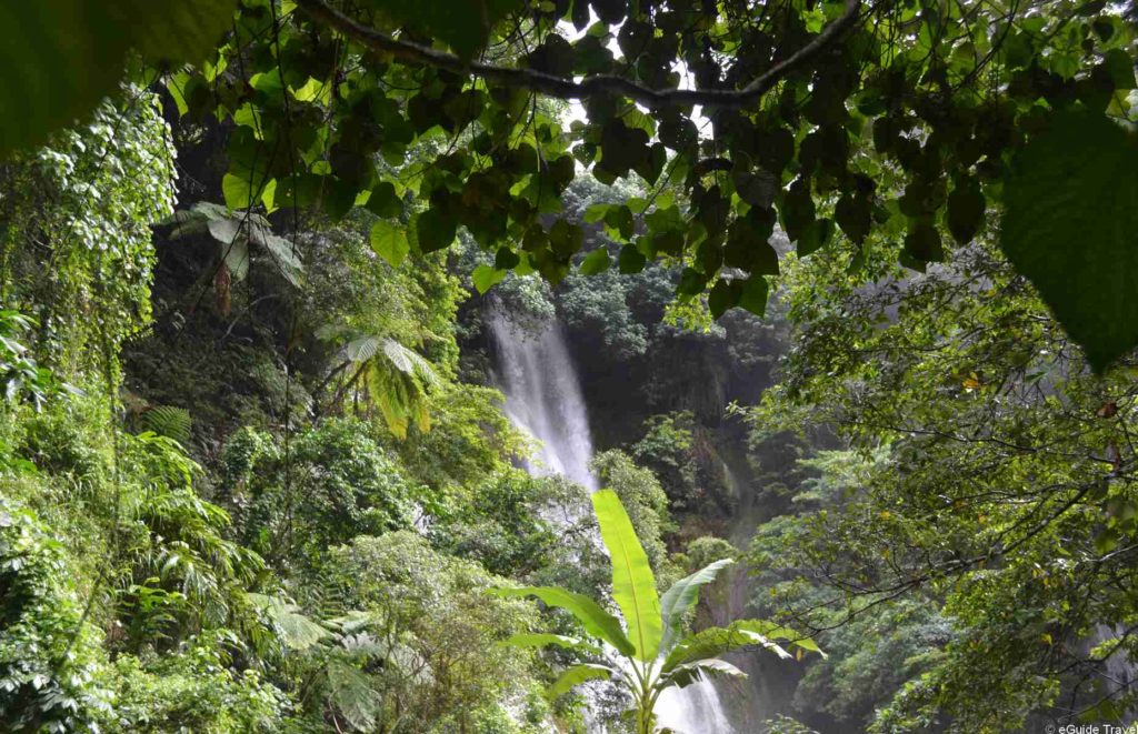 Sejour Vanuatu - Mallicolo