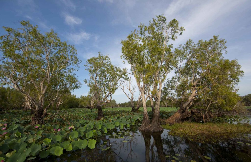 Voyage Australie Top End - Kakadu National Park