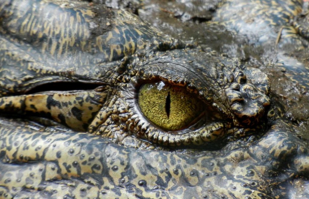 Voyage Australie Top End - Kakadu National Park