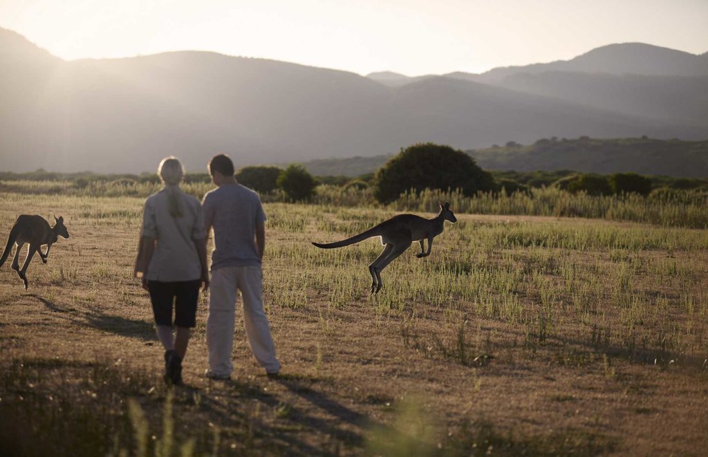 voyage romantique en australie