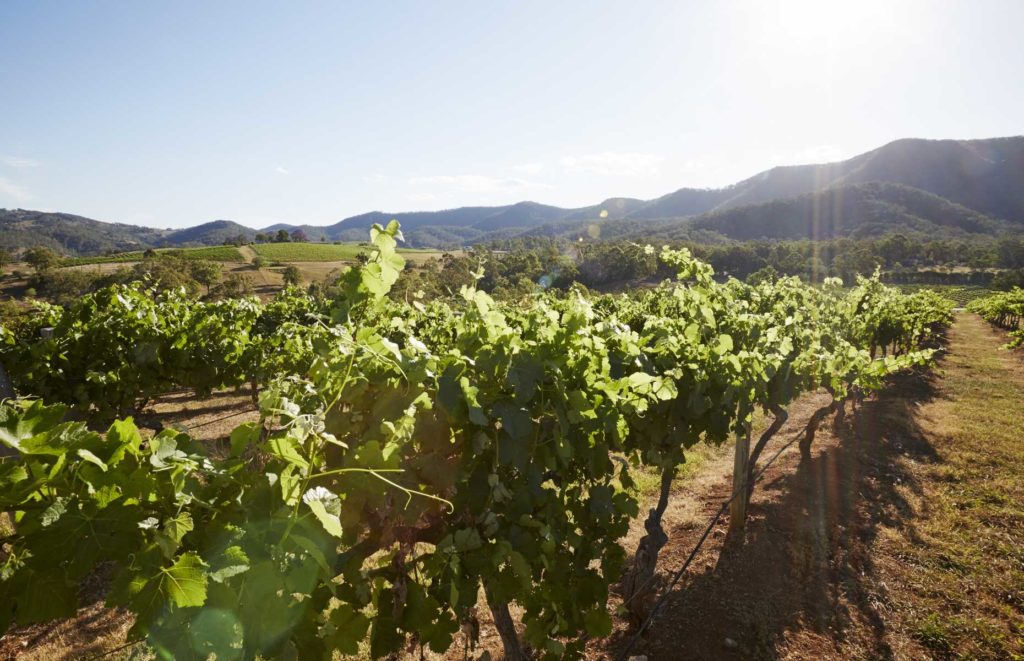 Circuit guidé en Australie - Hunter Valley