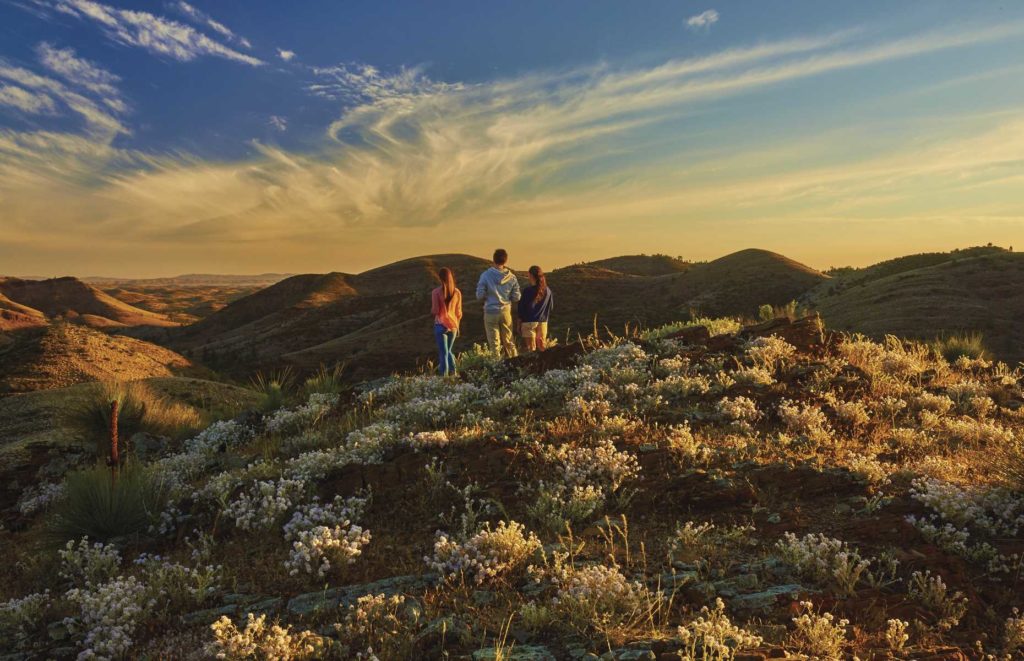 Voyage en Australie du Sud - Flinders Ranges