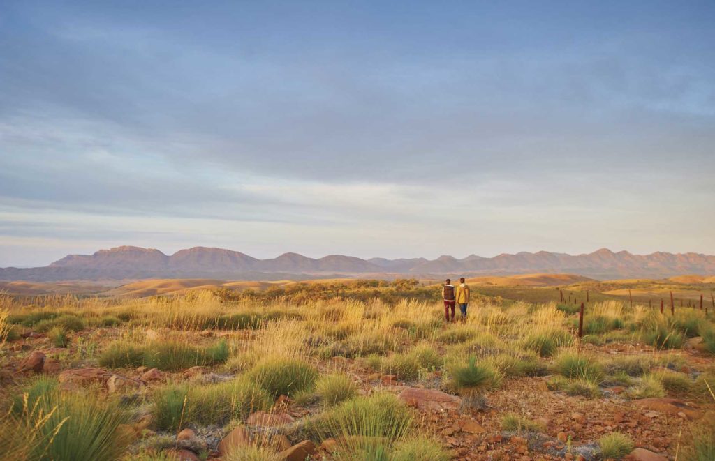 Voyage en Australie du Sud - Flinders Ranges