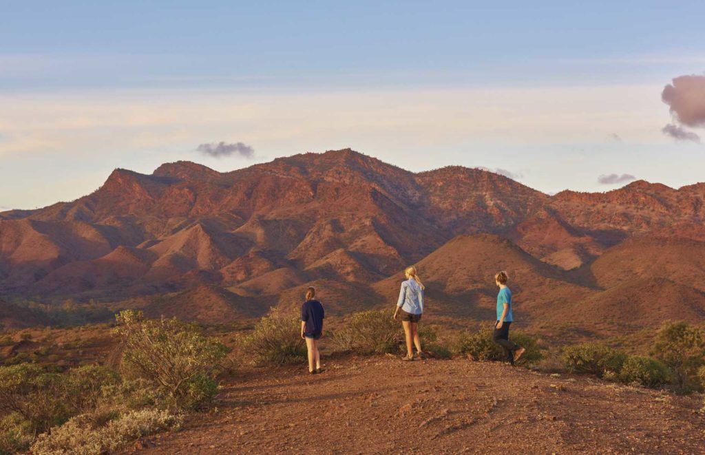 Voyage en Australie du Sud - Flinders Ranges