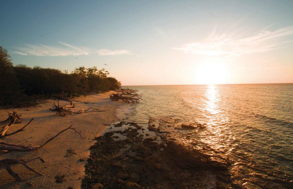 Voyage Queensland - Lady Musgrave Island