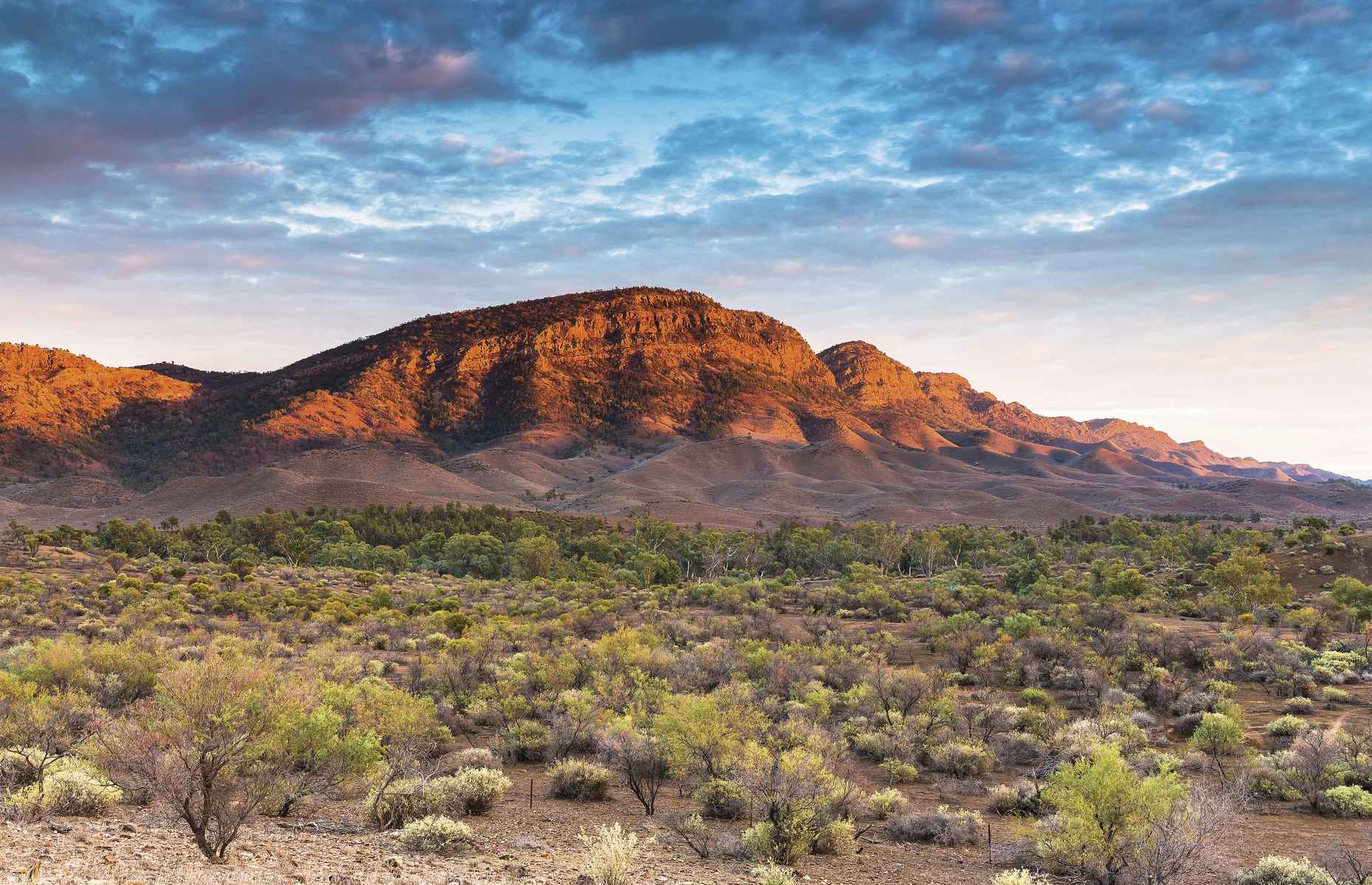 Voyage en Australie du Sud - Flinders Ranges