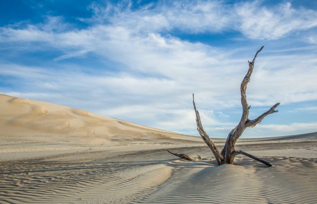 Autotour en Australie - Gunyah Dunes, Coffin Bay