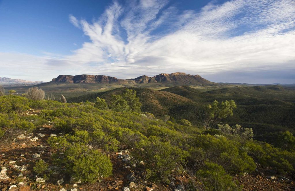 Voyage en Australie du Sud - Flinders Ranges