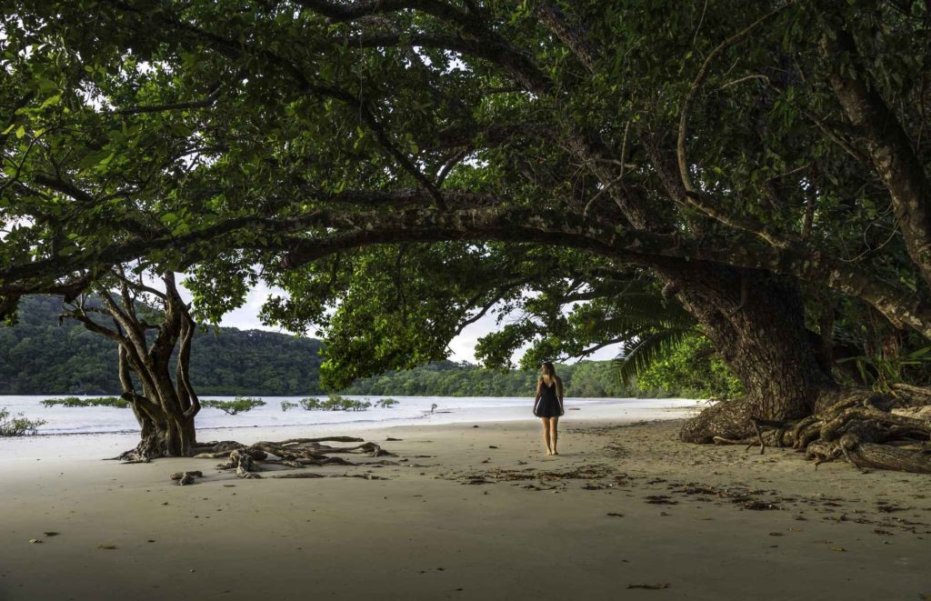 Séjour à Cape Tribulation - Cape Tribulation