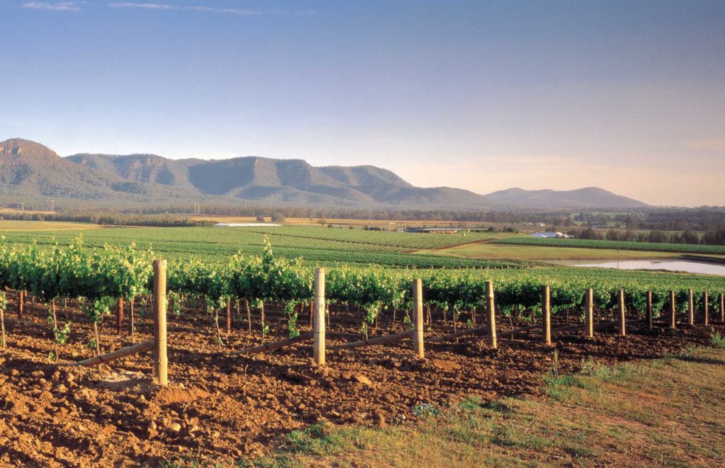 Circuit guidé en Australie - Hunter Valley