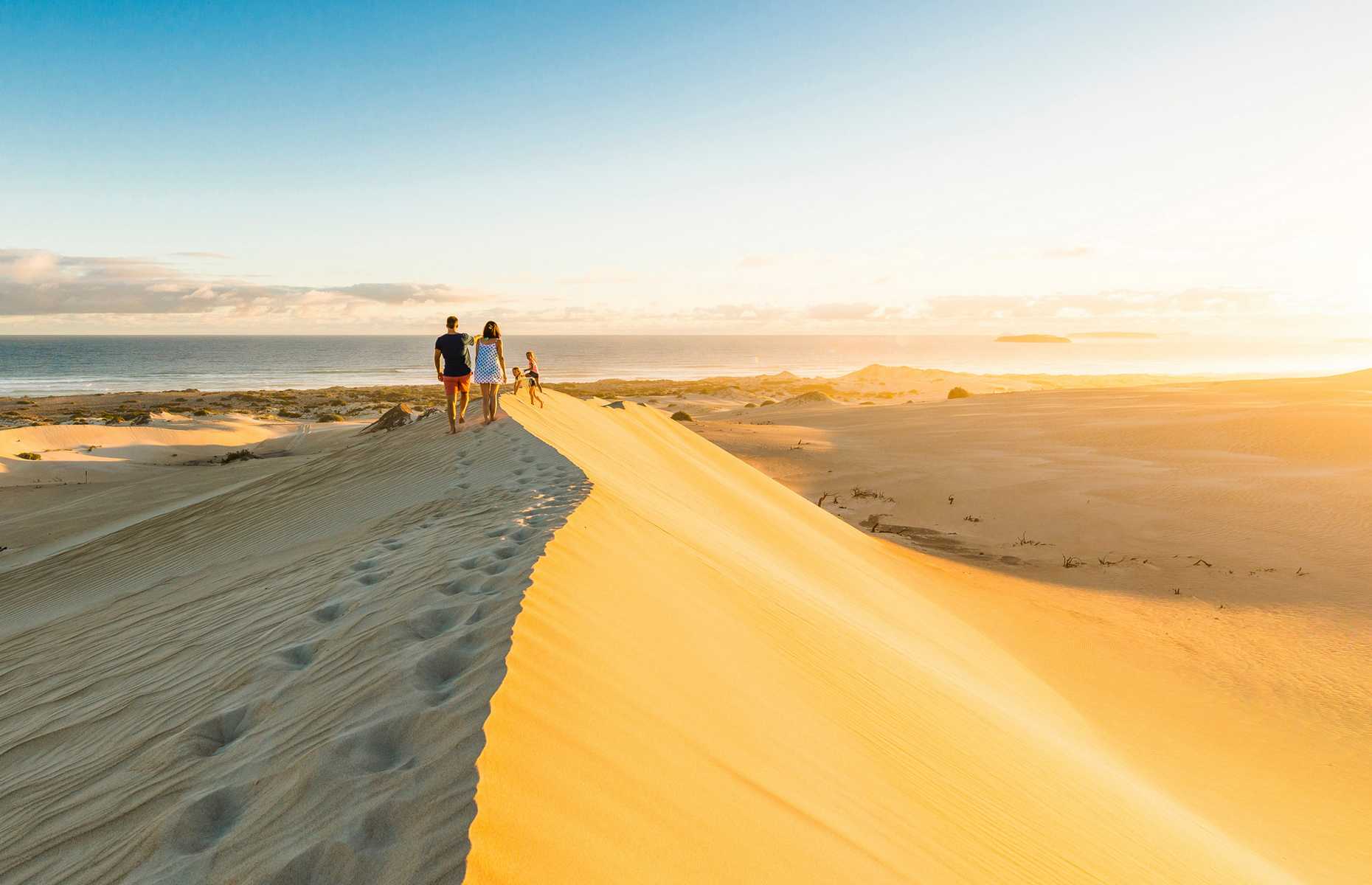 Séjour en Australie du Sud - Péninsule d'Eyre