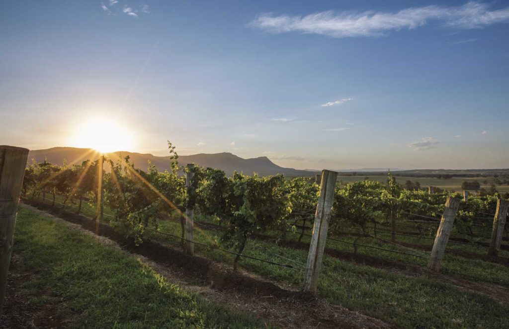 Séjour dans la Hunter Valley - Hunter Valley