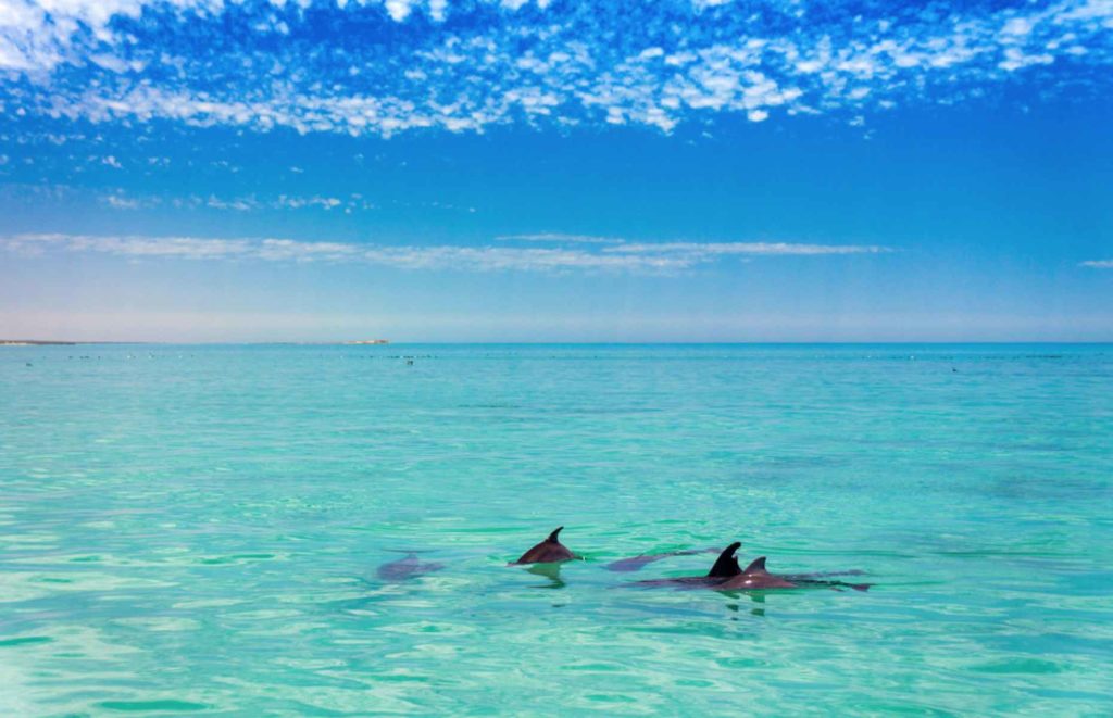 Hôtel en Australie Occidentale - Dirk Hartog Island