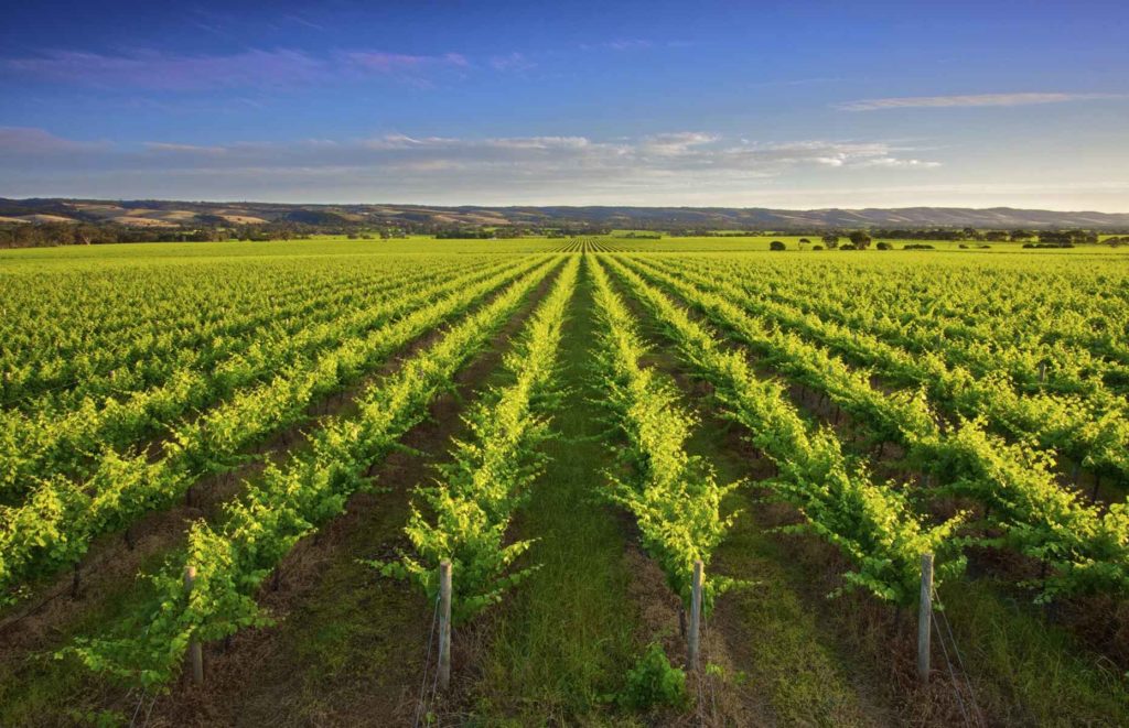 Hôtel de luxe à Adélaïde - Barossa Valley