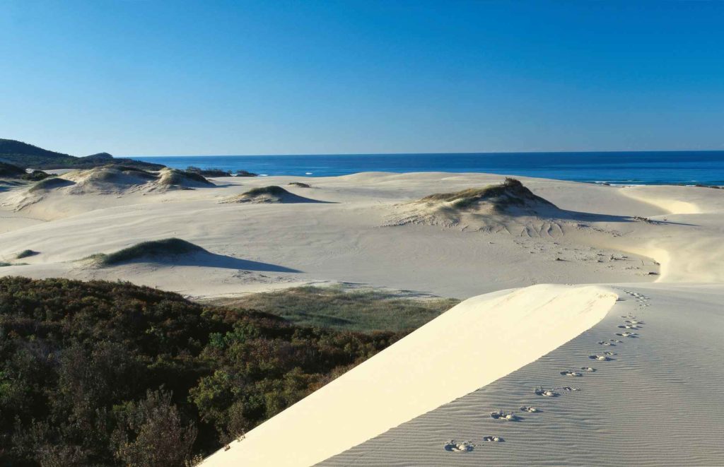 Hôtel à Fraser Island - Fraser Island