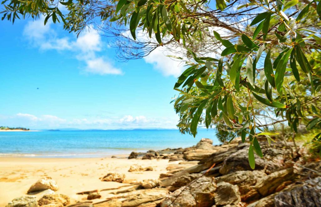 Séjour sur la Grande Barrière de corail - Great Keppel Island