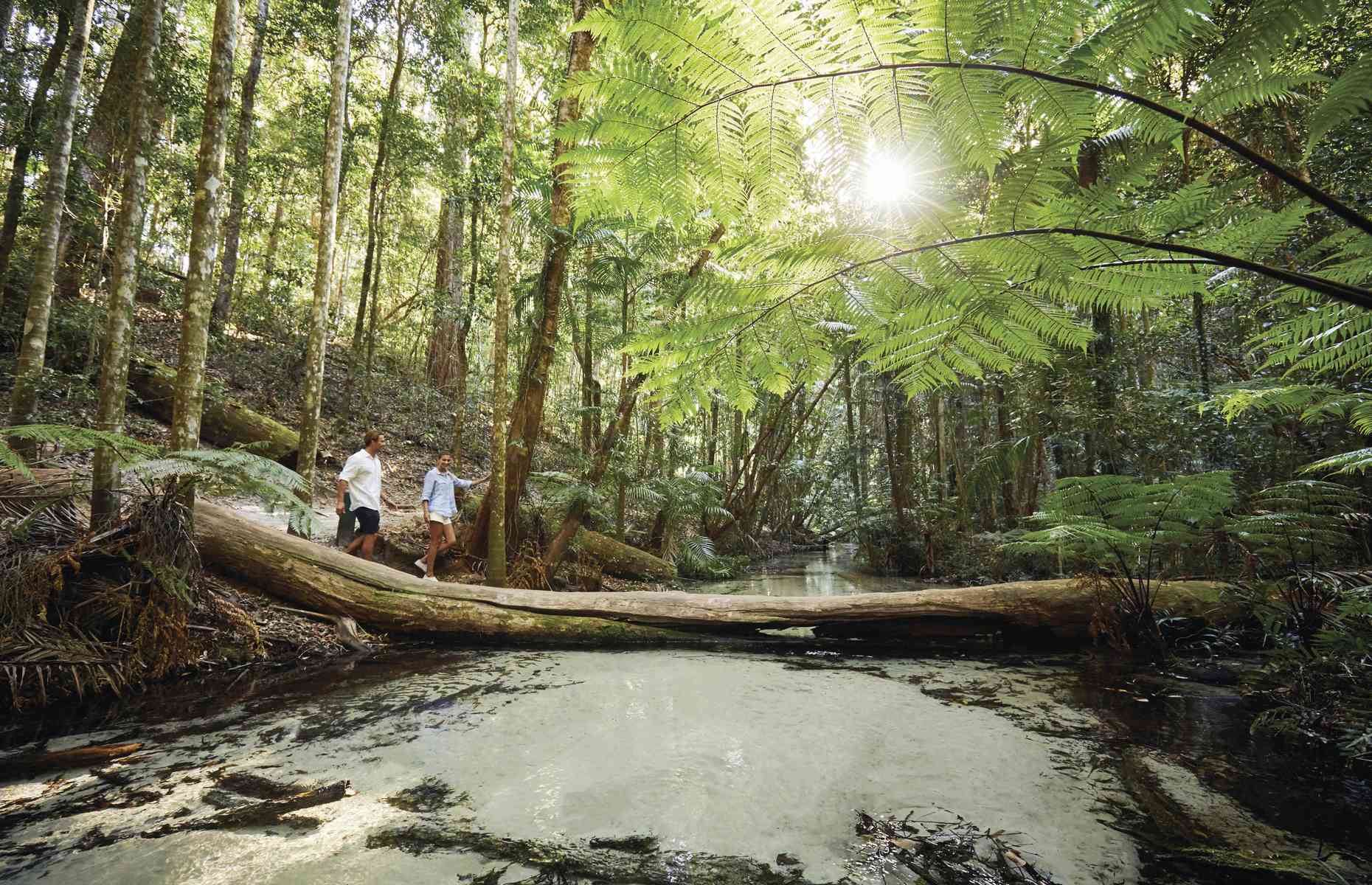 Hôtel à Fraser Island - Fraser Island